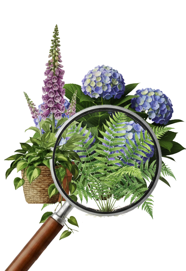 Find a plant feature icon