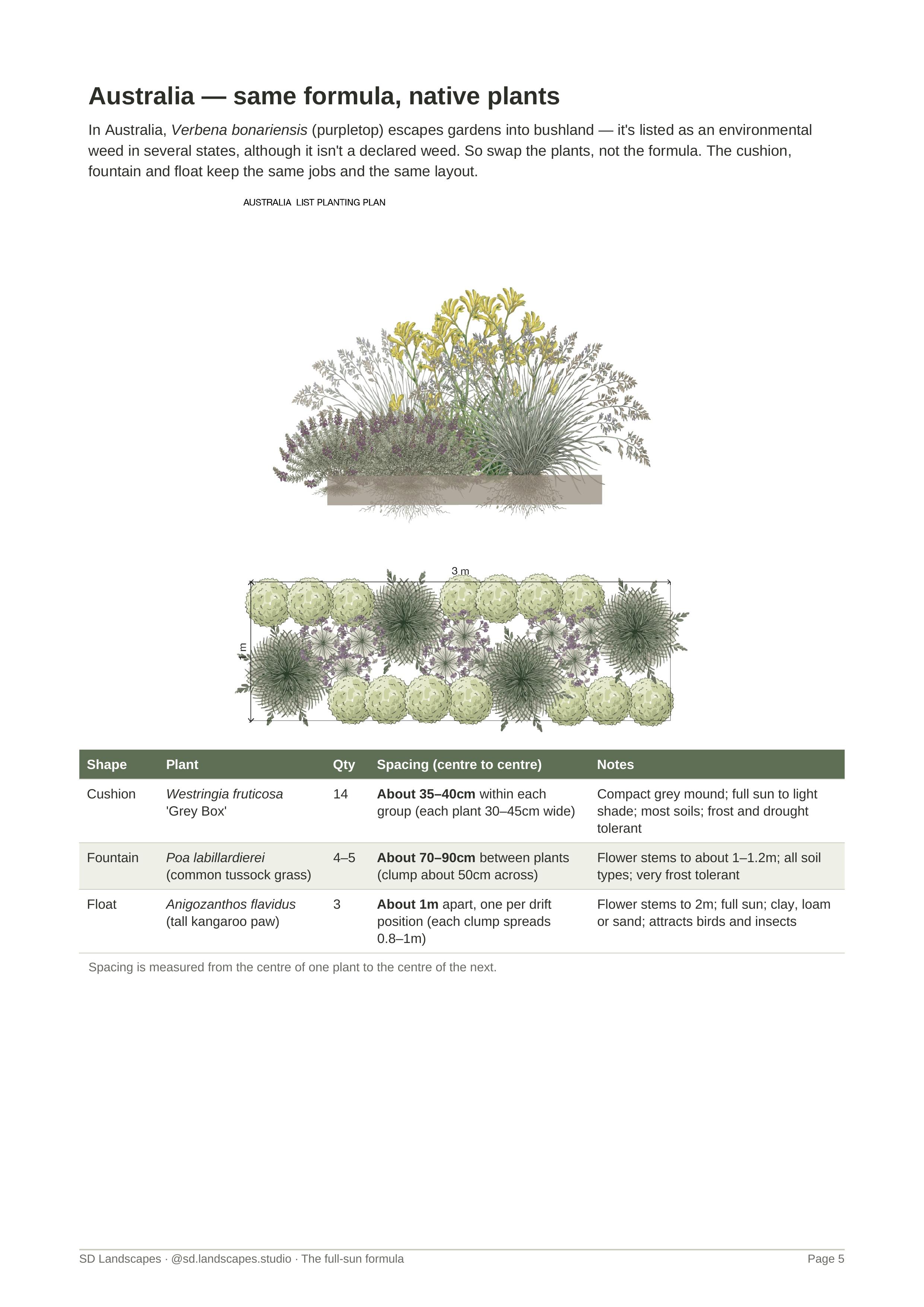Australian full-sun planting plan showing elevation view and overhead plan (100cm × 300cm) with Westringia Grey Box cushions, Poa labillardierei fountains, and Anigozanthos flavidus floats. Illustration by SD Landscapes (@sd.landscapes.studio).