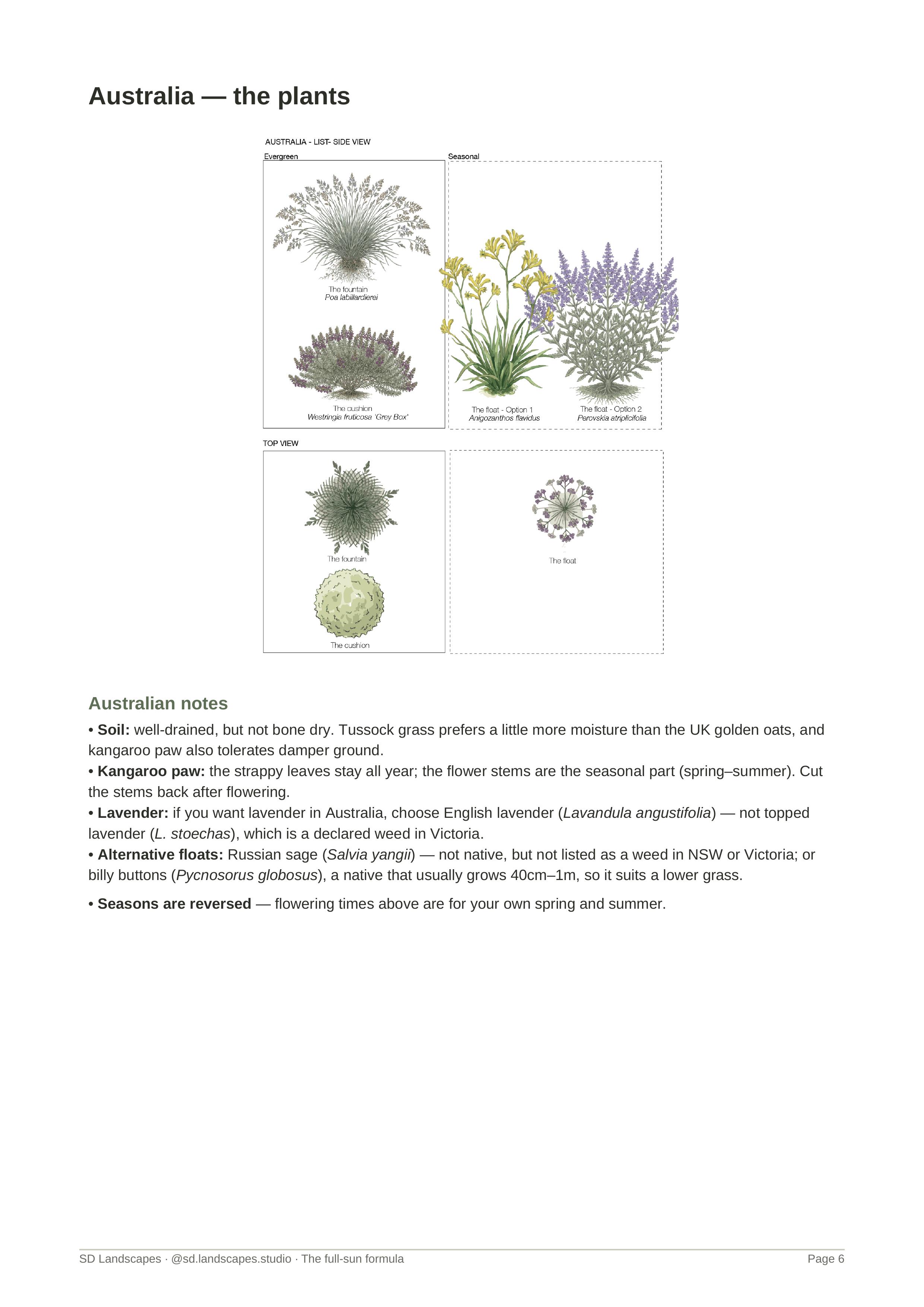 Plant identification sheet showing Westringia Grey Box (cushion), Poa labillardierei (fountain), and Anigozanthos flavidus (float) with alternative options. Illustration by SD Landscapes (@sd.landscapes.studio).