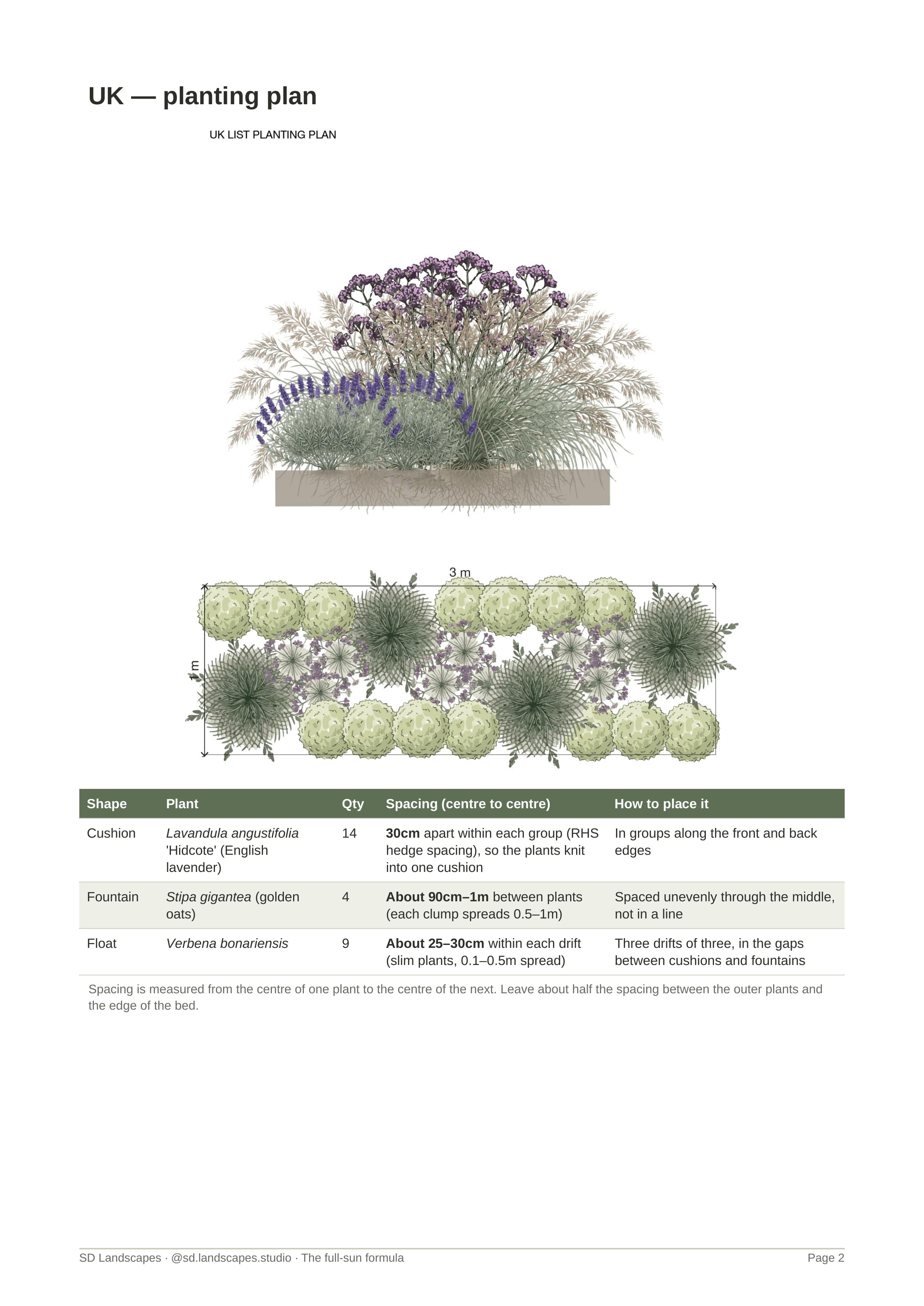 UK full-sun planting plan showing elevation view and overhead plan (100cm × 300cm) with Lavandula Hidcote cushions along edges, Stipa gigantea fountains through the middle, and Verbena bonariensis floats scattered in drifts. Illustration by SD Landscapes (@sd.landscapes.studio).