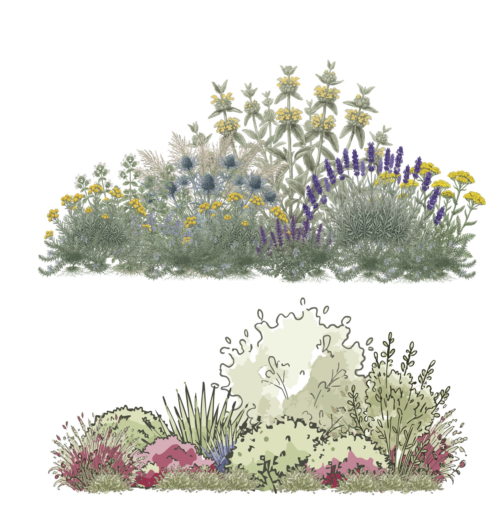 Mediterranean gravel garden border elevation view