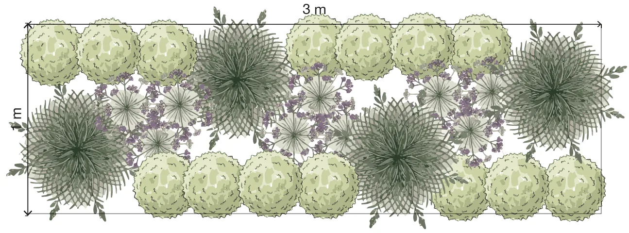 Plan view of a 1 × 3m shade bed with eight epimedium cushions along the front and back edges, four soft shield ferns spaced unevenly, and nine foxgloves in three drifts of three. Illustration credit: SD Landscapes / Garden Pal