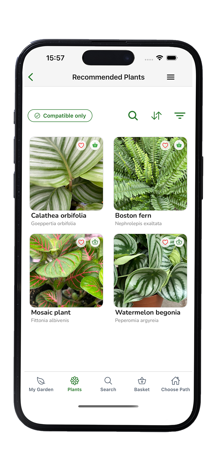 GardenPal plant compatibility checker